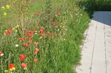 Cross-pollination at Biotech Campus Delft