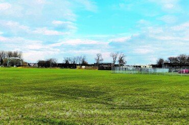 Former Calvé site raised and covered with grass