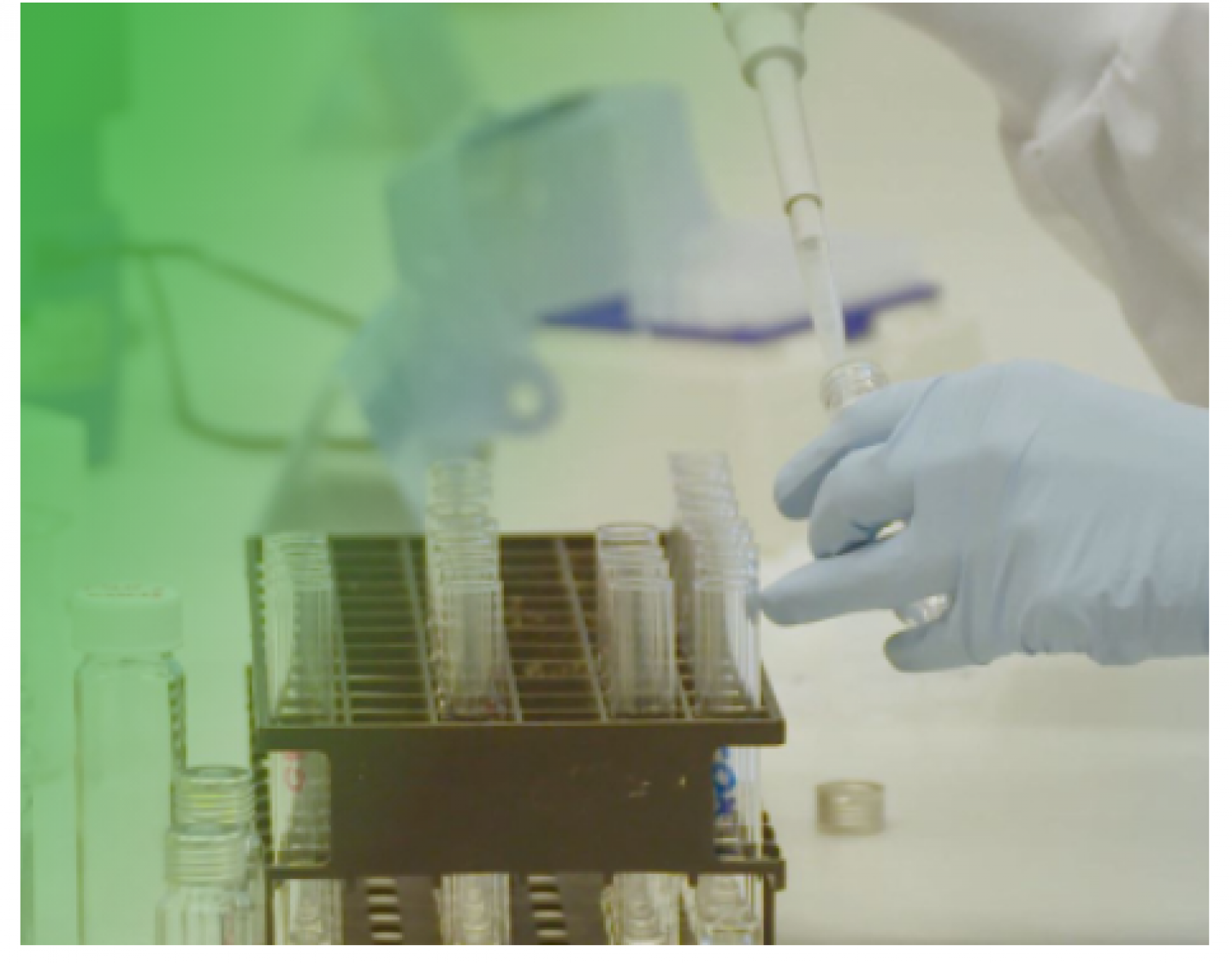 Enzymes for TNO LAMP test