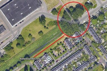 Pruning work on poplar trees at Wallerstraat and Parkweg