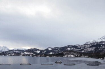Veramaris' marine algal oil helps Norwegian farmer to produce sustainable raised salmon